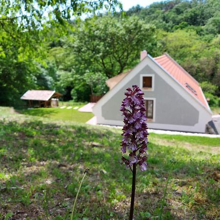 MonoszloKosbor Vendeghazアパートメント エクステリア 写真