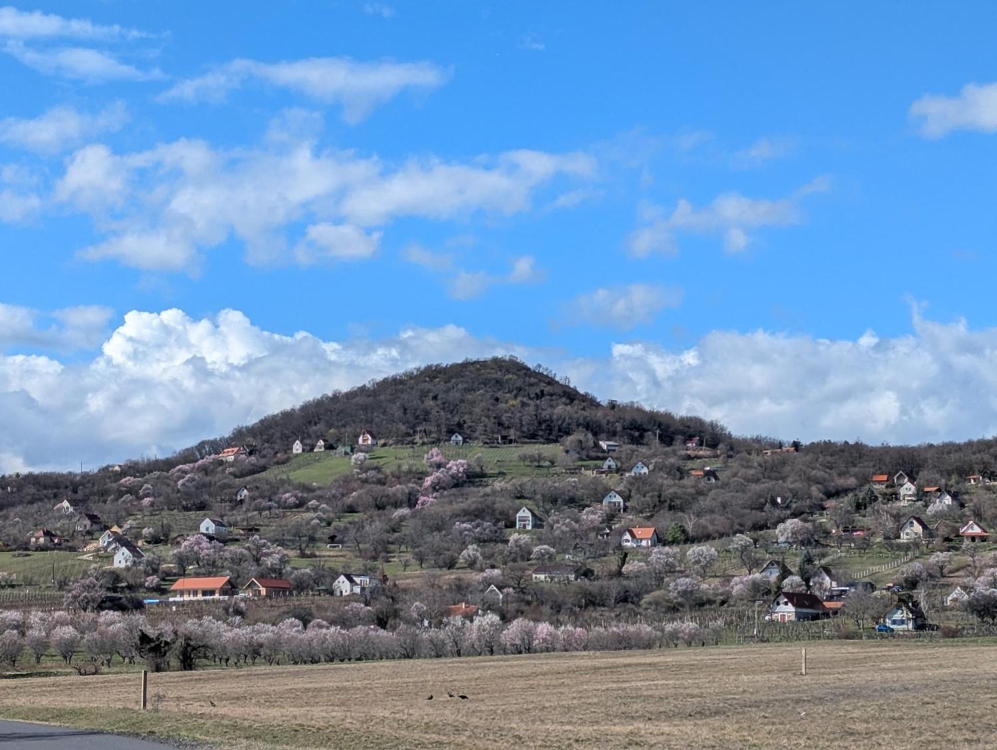 MonoszloKosbor Vendeghazアパートメント エクステリア 写真